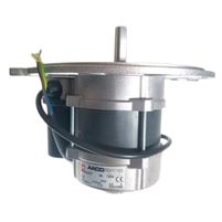 Aaco Burner Motor 250 W (Bentone Type)